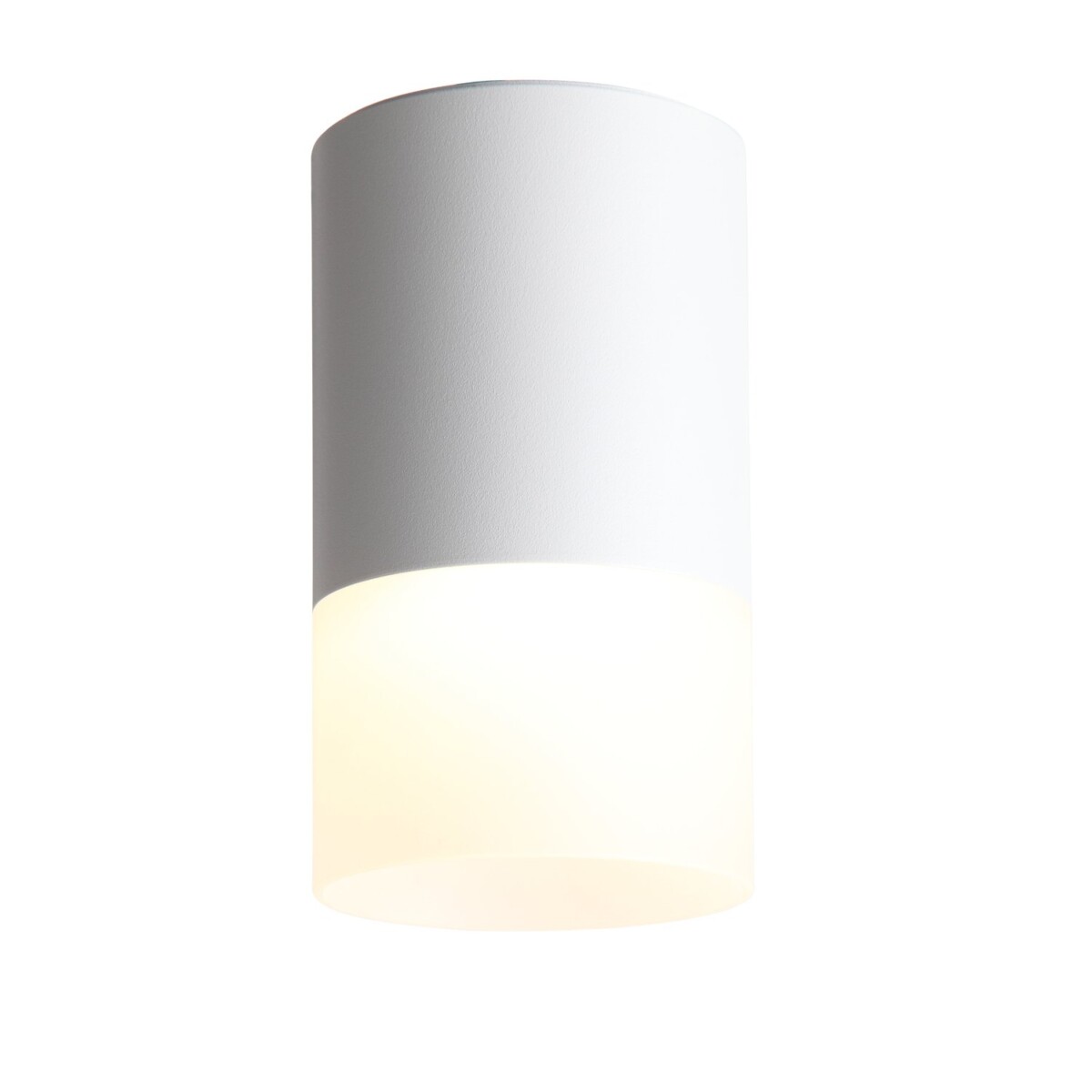 ST100.502.05 Светильник потолочный Белый LED 1*5W 3000K 390Lm Ra>80 120° D64xH110 170-240V Накладные светильники — изображение 1