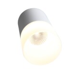 ST100.502.05 Светильник потолочный Белый LED 1*5W 3000K 390Lm Ra>80 120° D64xH110 170-240V Накладные светильники — изображение 3