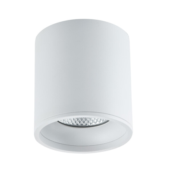 в наличии ST165.532.12 Светильник потолочный Белый LED 1*12W 3000K 840Lm Ra>90 36° IP44 D80xH85 85-265V Накладные светильники - купить в интернет-магазине Светильники Торг