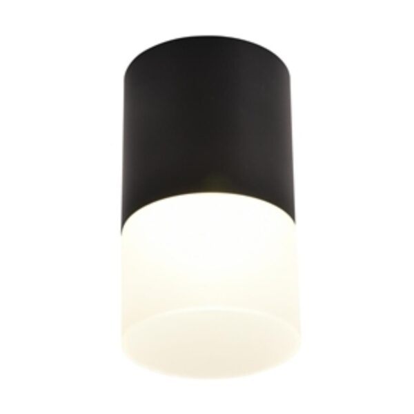 3070-1C, потолочный светильник, D64xH110, LEDx5W, 400LM, 4000K, IP20, included