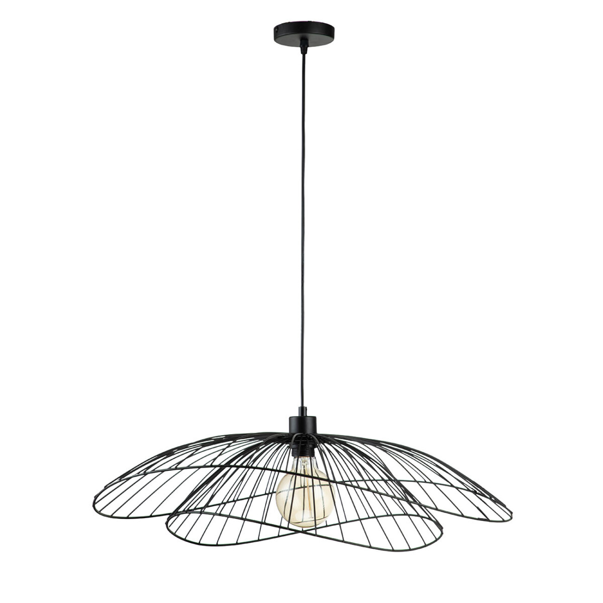 10012/C/1P Black — изображение 2