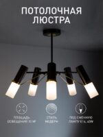 2558-5P — изображение 2
