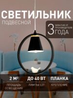 2938-1P — изображение 2