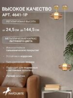 4641-1P — изображение 4