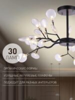 2480-10P — изображение 5