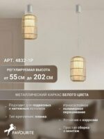 4832-1P — изображение 4