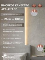 4371-1P — изображение 3