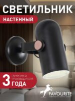 2007-1W — изображение 2