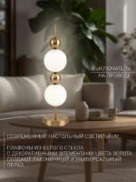 4088-2T — изображение 3