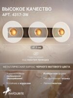 4317-3W — изображение 3