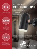 2007-1W — изображение 3
