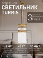 4200-1P — изображение 2