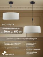 4796-1P — изображение 4