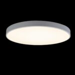 10002/48 White Потолочный светильник LOFT IT Axel — изображение 2