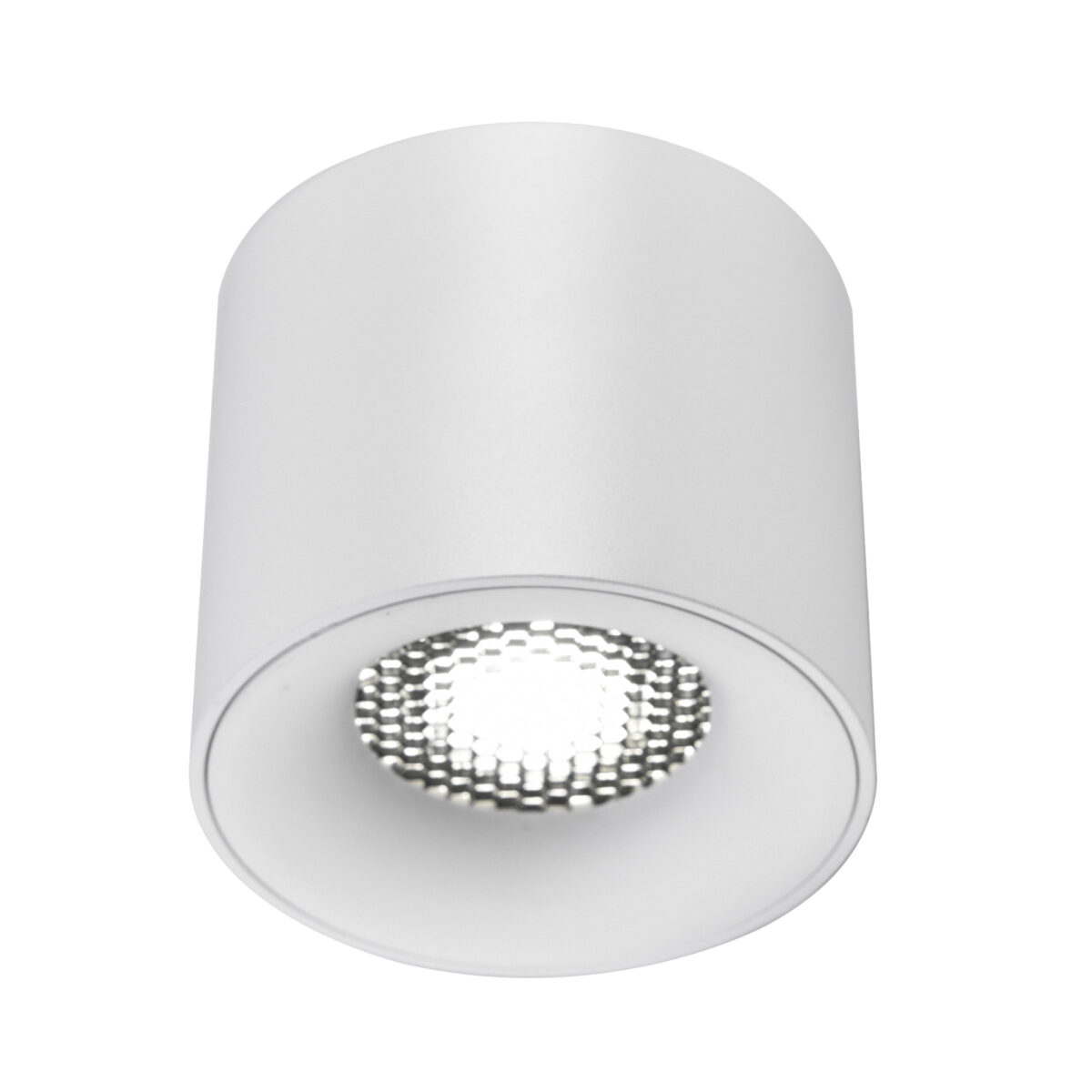 ST761.533.10 Светильник потолочный белый LED 1*10W 3000K 530Lm Ra 90 36° IP20 D80xH70 170-240VV Накладные светильники — изображение 1