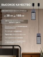 4273-1P — изображение 3