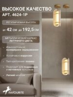 4624-2P — изображение 4