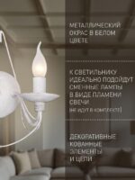 2164-2W — изображение 4