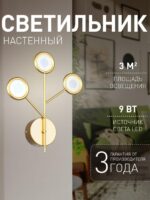 4253-3W — изображение 2