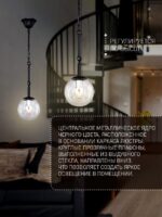 2169-1P — изображение 3