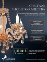 1738-5P — изображение 4
