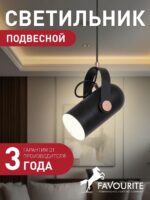 2007-1P — изображение 2