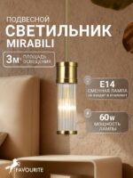 2850-1P — изображение 2