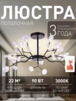 2480-10P — изображение 2