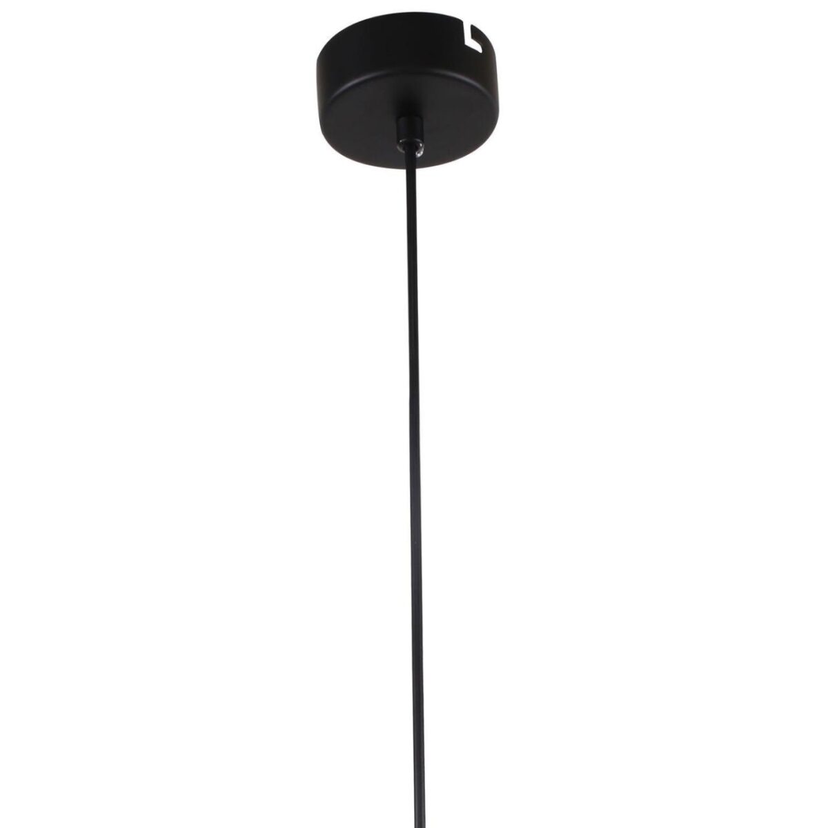 2556-1P — изображение 8