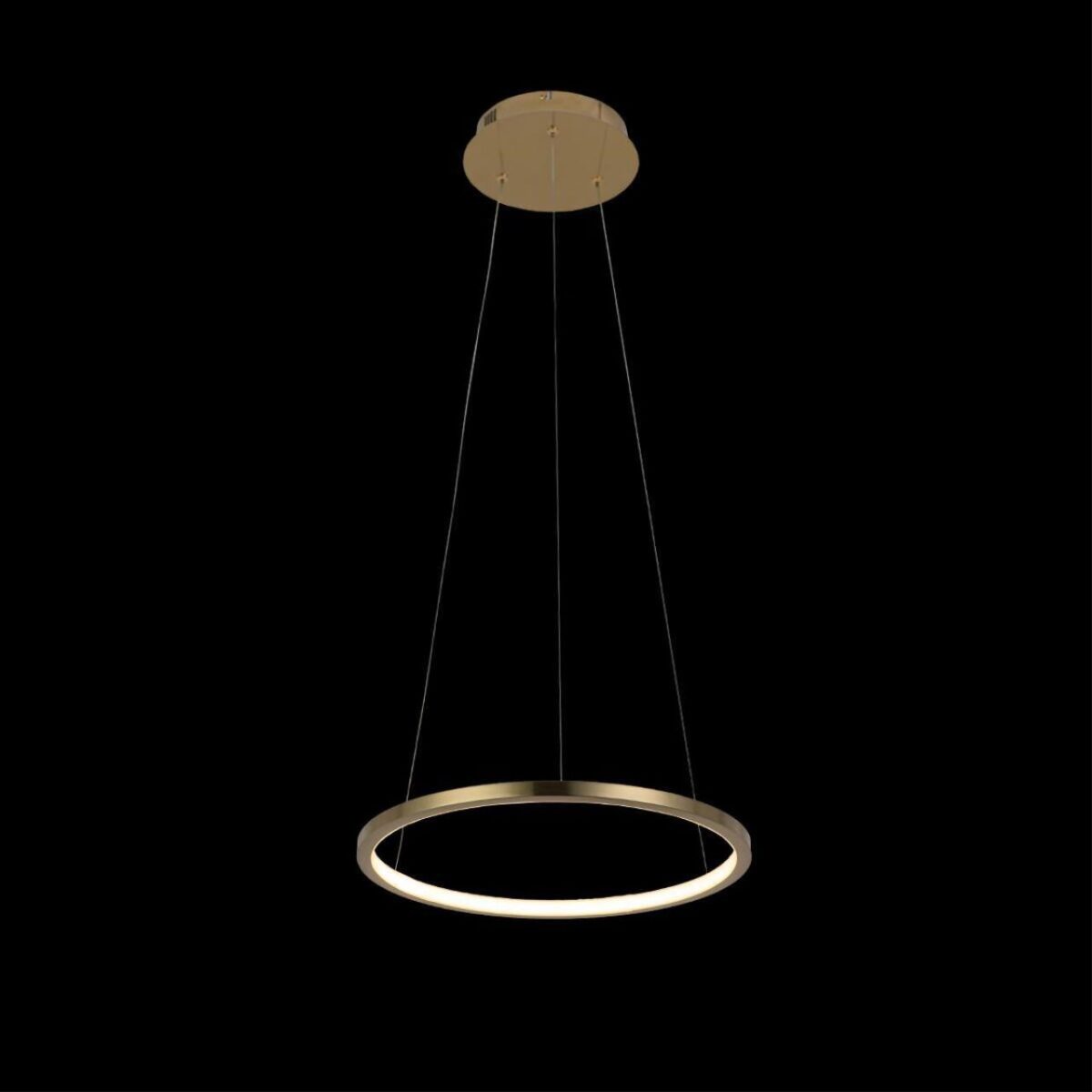 10014S Подвесной светильник LOFT IT Ring — изображение 2