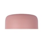 10201/350 Pink Потолочный светильник LOFT IT Axel — изображение 5