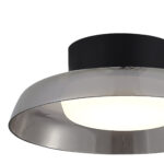 SL6019.412.01 Светильник потолочный ST-Luce Черный/Дымчатый, Белый LED 1*36W 3000K ФОРЕЙ — изображение 3
