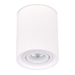 ST156.502.01 Светильник потолочный Белый GU10 1*50W IP20 D100xH120 180-240V Без ламп Накладные светильники — изображение 2