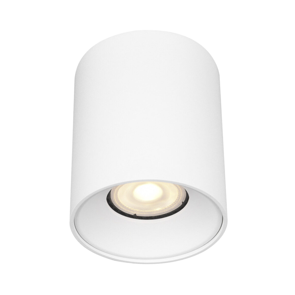 ST167.502.01_01W ST167.502.01 Светильник потолочный Белый GU10 1*50W IP20 D80xH95 220V Без ламп Накладные светильники — изображение 1