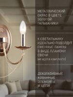2591-2W — изображение 5