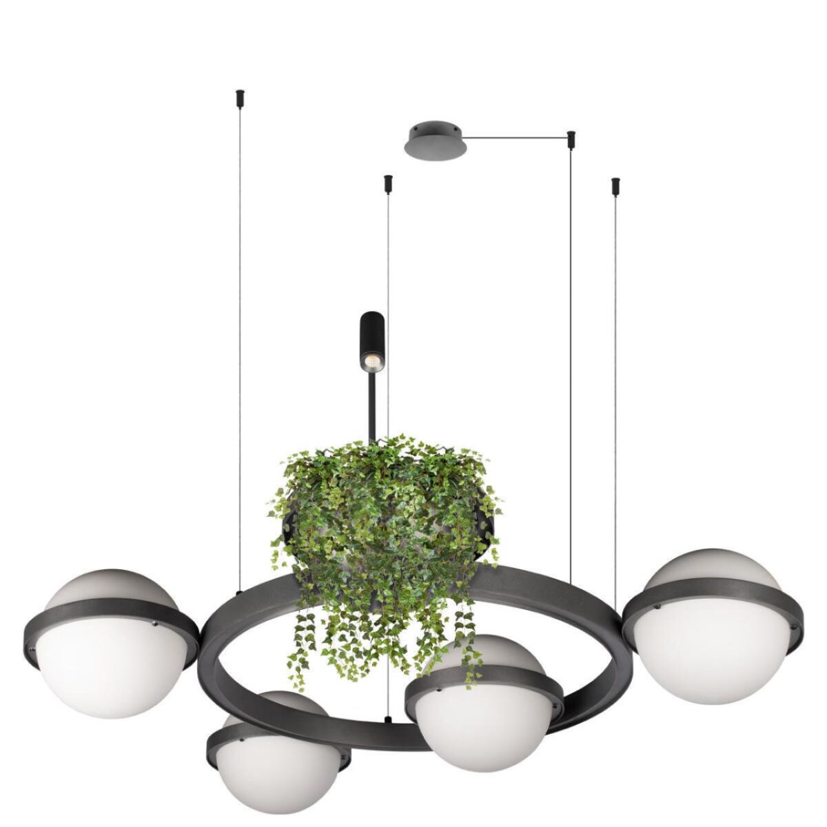 10121/4 Dark grey Подвесной светильник LOFT IT Jardin — изображение 3