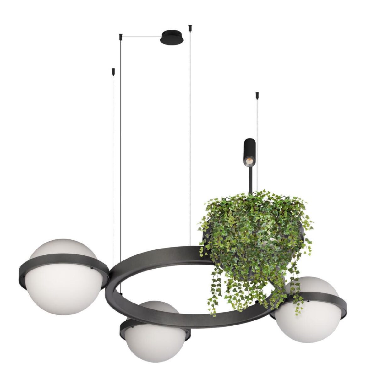 10121/3 Dark grey Подвесной светильник LOFT IT Jardin — изображение 3