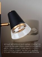 4618-1W — изображение 3