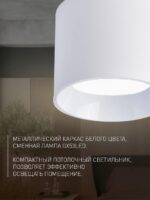4209-1C — изображение 3