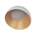 10197/350 White Потолочный светильник LOFT IT Egg — изображение 3