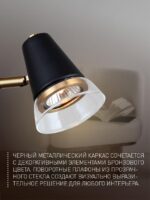 4618-1T — изображение 3
