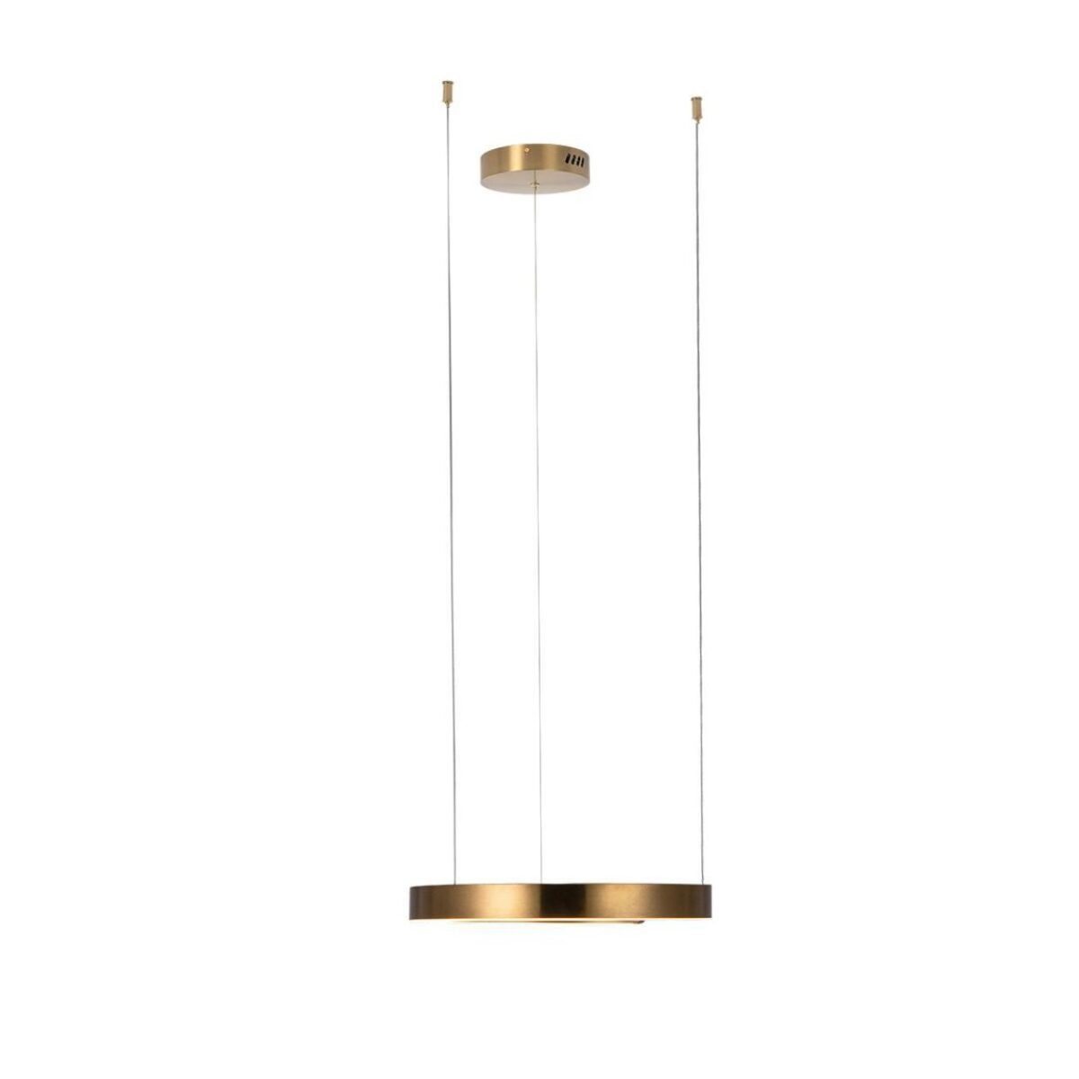 10013S Подвесной светильник LOFT IT Ring — изображение 3