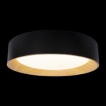 10202 Black Потолочный светильник LOFT IT Coin — изображение 2