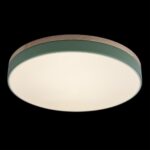 10001/36 Green Потолочный светильник LOFT IT Axel — изображение 3