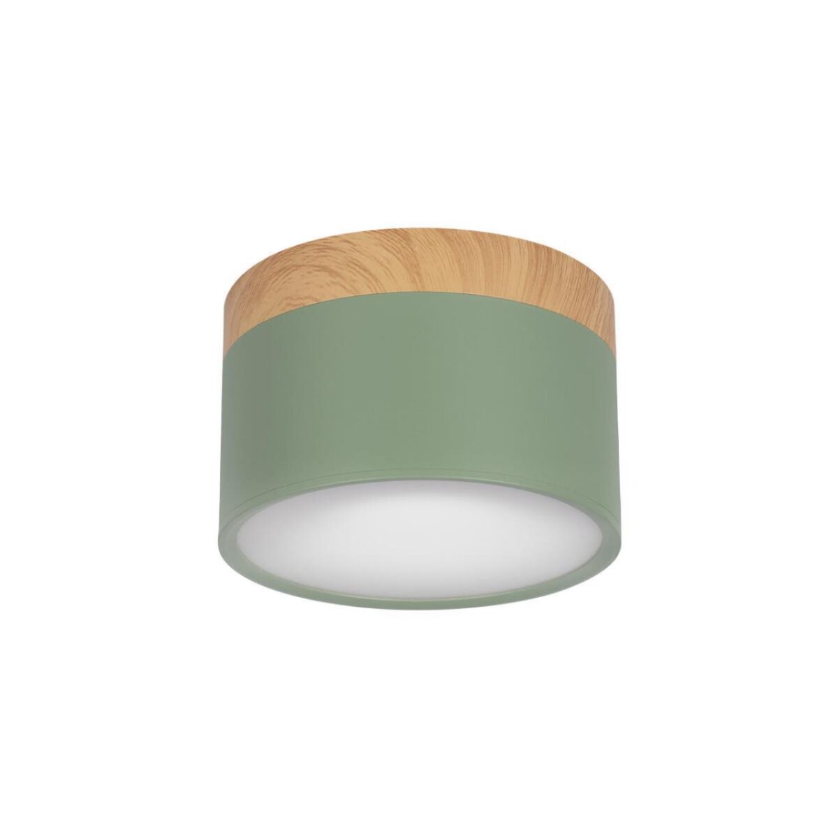 214a0b3a9fe9f5f1df1e90f095e8e144 10162 Green Накладной светильник LOFT IT Grape — изображение 1