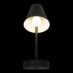 10216/1W Black Настенный светильник LOFT IT Shelf — изображение 2