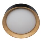 10202 Black Потолочный светильник LOFT IT Coin — изображение 3