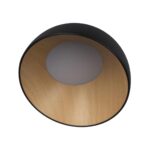 10197/350 Black Потолочный светильник LOFT IT Egg — изображение 3