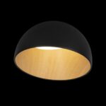 10197/350 Black Потолочный светильник LOFT IT Egg — изображение 2