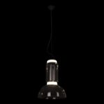 10192/S Подвесной светильник LOFT IT Noctambule — изображение 2